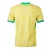 Brasilien Replik Heimtrikot Copa America 2024 Kurzarm